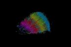 ساخت نقشه سه‌بعدی جدید مغز انسان توسط دانشمندان هاروارد و گوگل