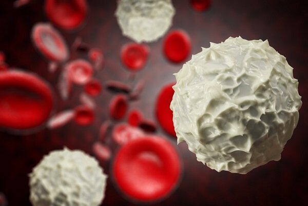 نابودی سلول های سرطانی خونی با کمک مولکول دی ان ای