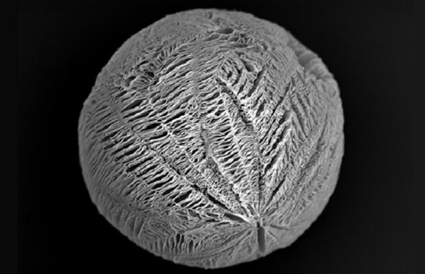 روش جدید استفاده از سلول های بنیادی «قلب شکسته» را درمان می کند روش جدید استفاده از سلول های بنیادی «قلب شکسته» را درمان می کند