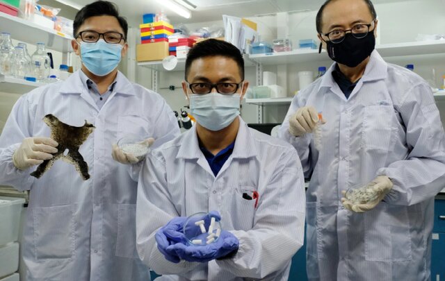 ترمیم استخوان با استفاده از پوست قورباغه و فلس ماهی! ترمیم استخوان با استفاده از پوست قورباغه و فلس ماهی!