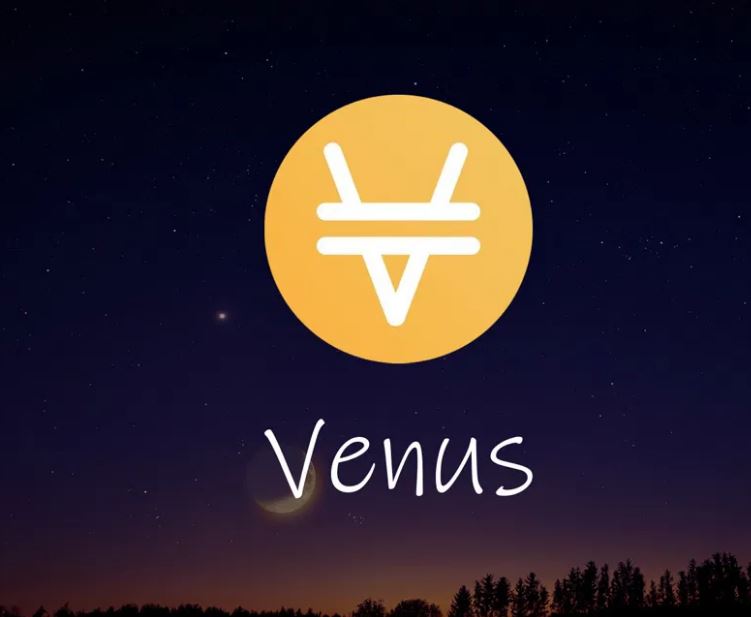امنیت پروتکل ارزدیجیتال ونوس (Venus) چگونه است؟