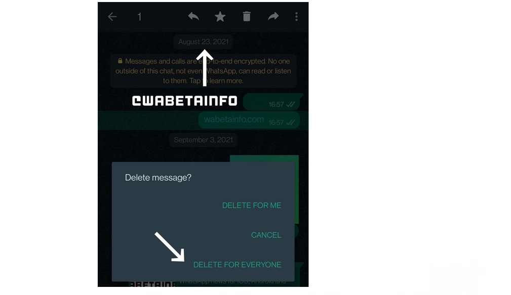 واتس‌اپ احتمالا محدودیت زمانی حذف پیام‌های ارسال شده را افزایش می‌دهد
