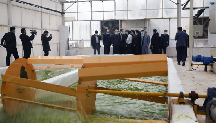 نخستین خط تولید جلبک‌های کلرلا به بهره‌برداری رسید| ستاری: حجم قابل توجهی از فناوری‌های کشاورزی ایران‌ساخت شده است