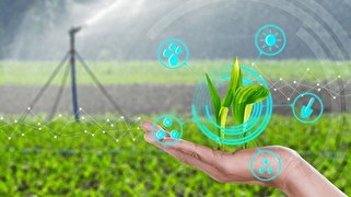 نفوذ دانش و فناوری‌های نوین به کشاورزی؛ ظرفیت دانش‌بنیان‌ها به توسعه این صنعت کمک می‌کند