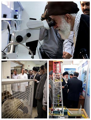 درمان بیماریهای صعبالعلاج به کمک خون بند ناف! درمان بیماریهای صعبالعلاج به کمک خون بند ناف!