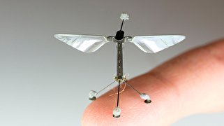 امکان ساخت میکروربات‌های هیدروژلی برای استفاده در پزشکی