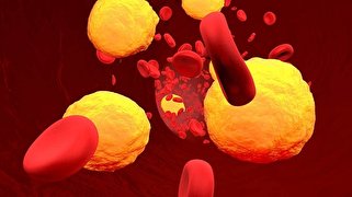 آزمایش بالینی روی نانودارویی که کلسترول بد را در بدن کاهش می‌دهد