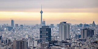 لوتوس بهترین انتخاب برای خدمات دیجیتال مارکتینگ در تهران
