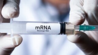 شاید نانوذرات لیپیدی از واکسن‌های mRNA حذف شود