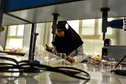 پارک علم و فناوری سلامت مازندران راه اندازی می شود