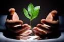 ارائه خدمات از طرح کسب و کار تا برندینگ به فناوران در کلینیک استارت‌آپ
