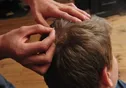 رفع آلودگی موی سر به شپش با محصول کاملا گیاهی و ایرانی/ موانع ارائه مجوزها به دانش بنیان‌ها برداشته شود