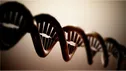 ۷ باز مصنوعی جدید به DNA برای ذخیره‌سازی اطلاعات اضافه شد!