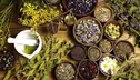 چالش‌های بازار ملی و جهانی گیاهان دارویی معرفی می شود