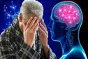 گل برفی گیاهی برای کمک به کاهش سرعت آلزایمر