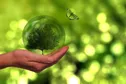 تولید محیطی خودمختار توسط نانوسیم های سبز