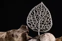 ابداع یک پلاستیک گیاهی قوی که به شکر تبدیل می‌شود