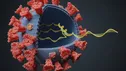 نانوذرات لیپیدی و mRNA ویروس کرونا را در سلول‌ها مهار کردند
