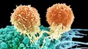 انتشار نتایج مثبت داروی ضدسرطانی که حاوی نانوذرات حامل mRNA است