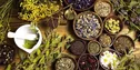 نوسازی صنعت گیاهان دارویی در اولویت قرار گرفت