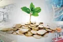 تصویب ۴.۶ میلیاردی تسهیلات سرمایه بذری برای شتابدهنده‌های دانش‌بنیان