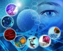 آیا بیماری ام اس را می‌توان با سلول بنیادی درمان کرد؟