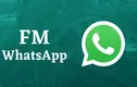این نسخه از واتساپ را فورا حذف کنید