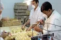 شناسایی ظرفیت های موجود برای تجاری سازی مرغ لاین