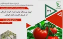 انتشار فراخوان پژوهشی طرح «تهیه پروتکل تولید نشاء گوجه فرنگی از طریق کشت بافت گیاهی» با حمایت صندوق نوآوری
