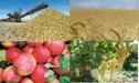 ضایعات و دور ریز ۳۵ درصدی محصولات کشاورزی در کشور