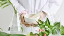 ۱۵ استاندارد برای محصولات اولویت‌دار گیاهان دارویی تدوین شد