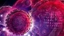 یک کیت تشخیصی، می‌تواند انواع مختلف سرطان را شناسایی کند