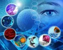 چگونه با استفاده از سلول های  بنیادی از قطع عضو جلوگیری کنیم