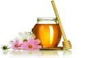 گرده‌شناسی عسل با استفاده از فناوری میکروسکوپ الکترونی برای اولین بار در کشور