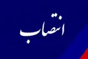معاون نوآوری و تجاری‌سازی فناوری منصوب شد