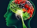 چه ارتباطی بین حافظه و اشتها وجود دارد؟