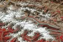 رشته کوه قره‌قروم و یخچال بتورا از منظر فضا