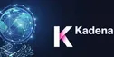 کدام پلتفرم قابلیت پشتیبانی از دو بلاک چین را دارد؟