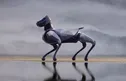 شیائومی از دومین نسل سگ رباتیک خود با نام CyberDog 2 رونمایی کرد